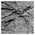 View Product Details