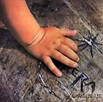 View Product Details