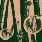 View Product Details