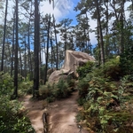 View Product Details