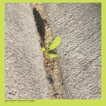 View Product Details